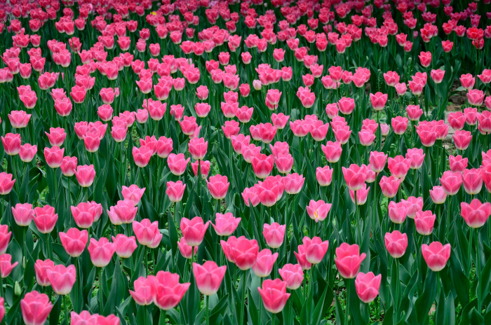 ������ (1).JPG