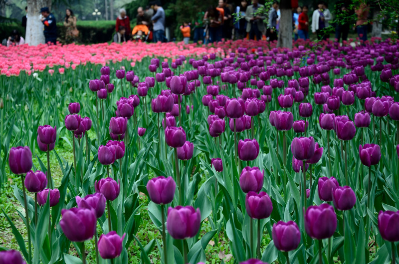 ������ (2).JPG