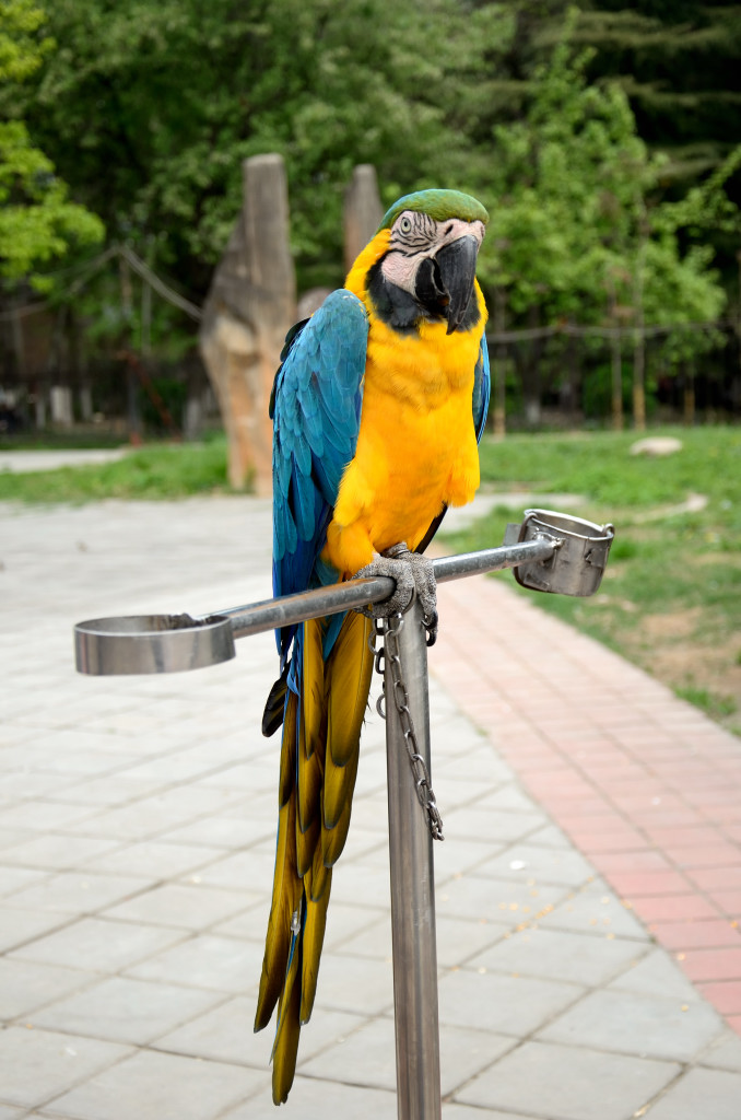 20140406 (205)_01.JPG