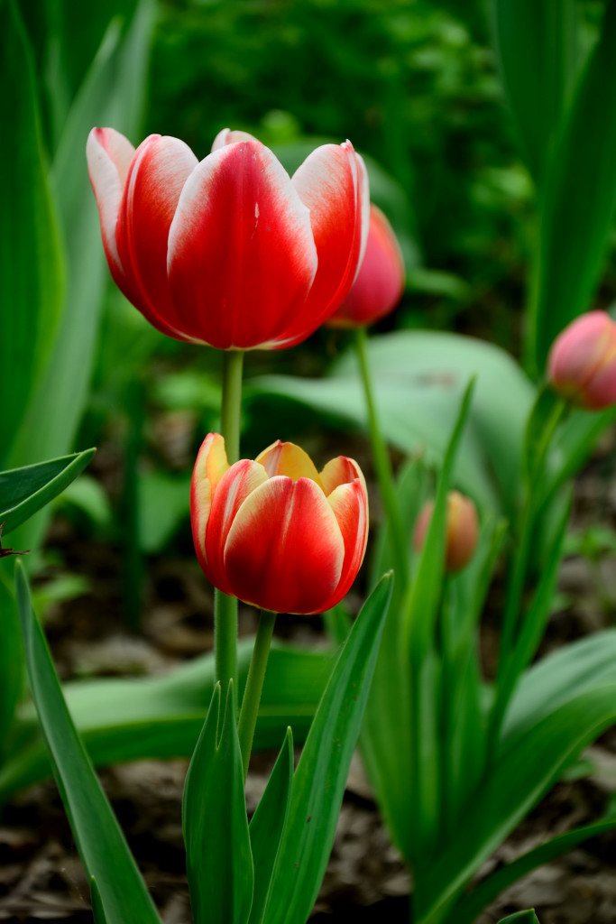 ������ (7).JPG