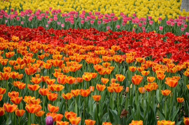 ������ (4).JPG