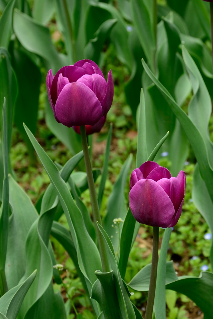 ������ (9).JPG