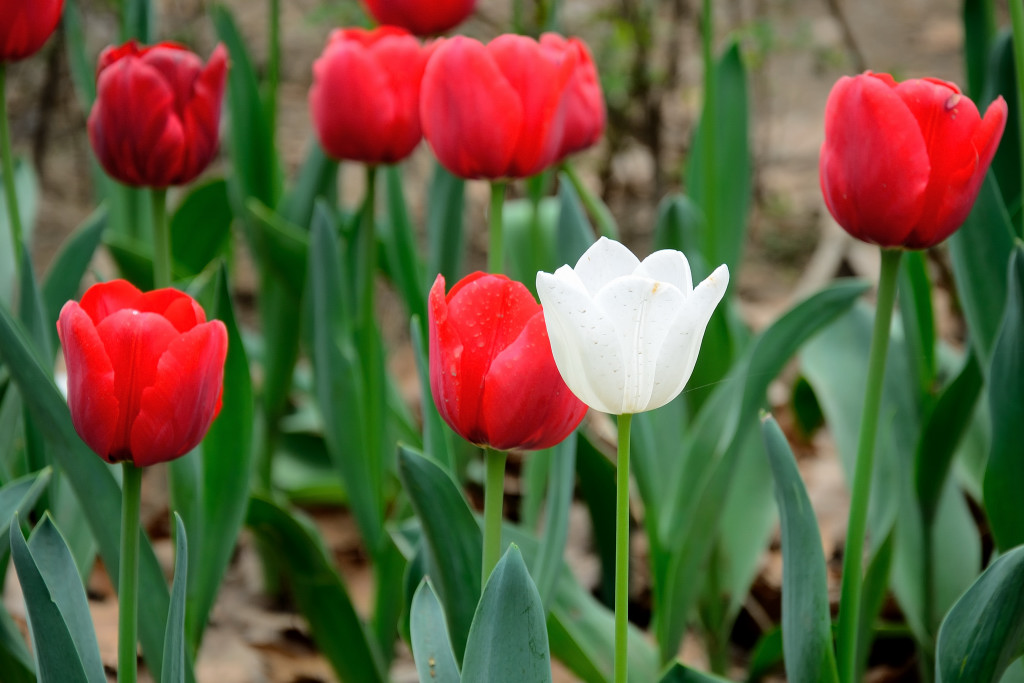 ������ (10).JPG