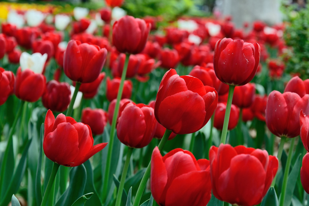 ������ (11).JPG