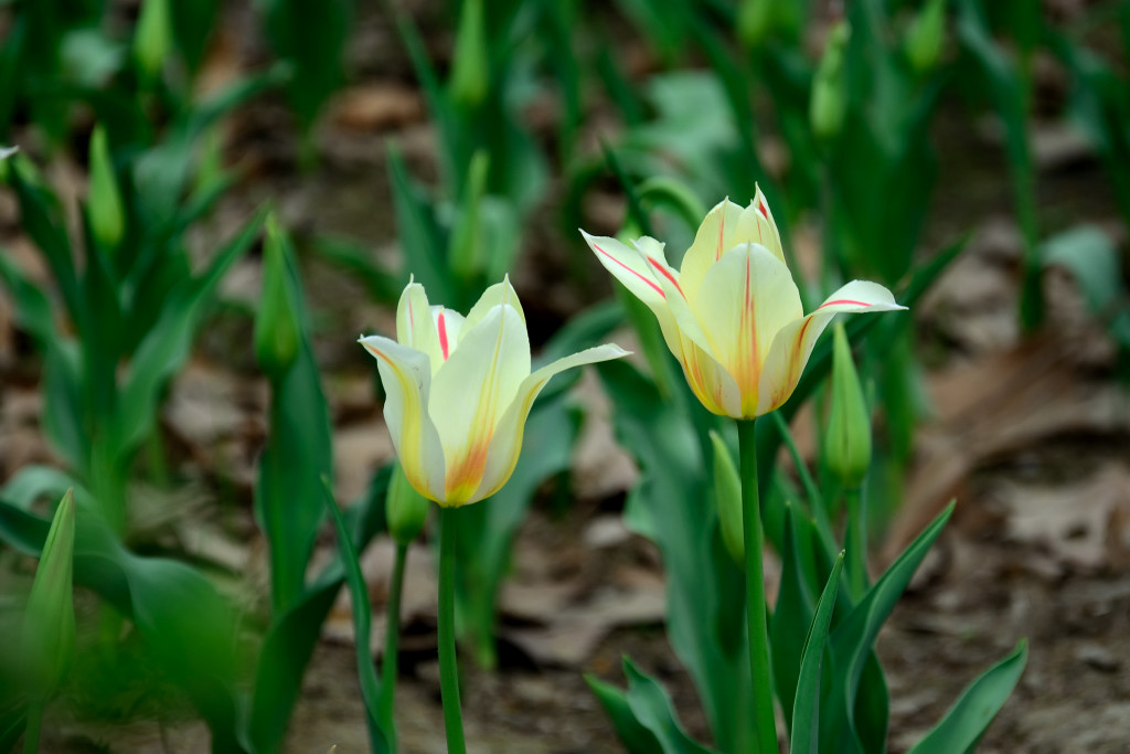 ������ (13).JPG