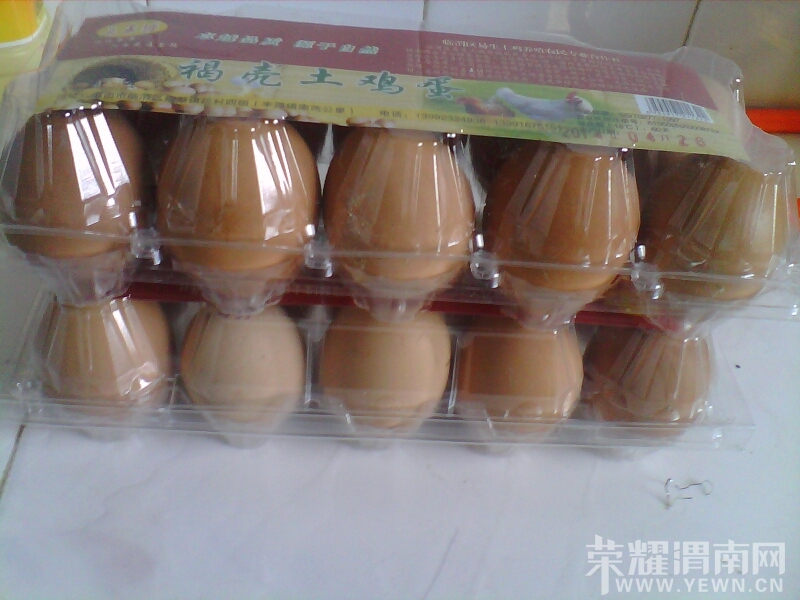 110419jtmfmhopfthfei3f.jpg