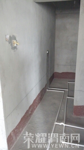 155619k9jjemqddcp4sikk.jpg