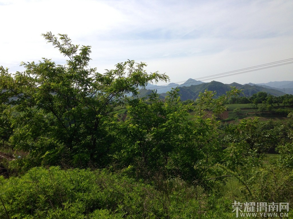 IMG_3652_��Ŀѹ��.JPG