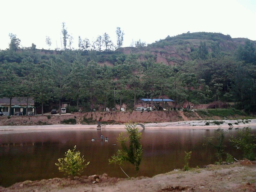 ԭ��̬����