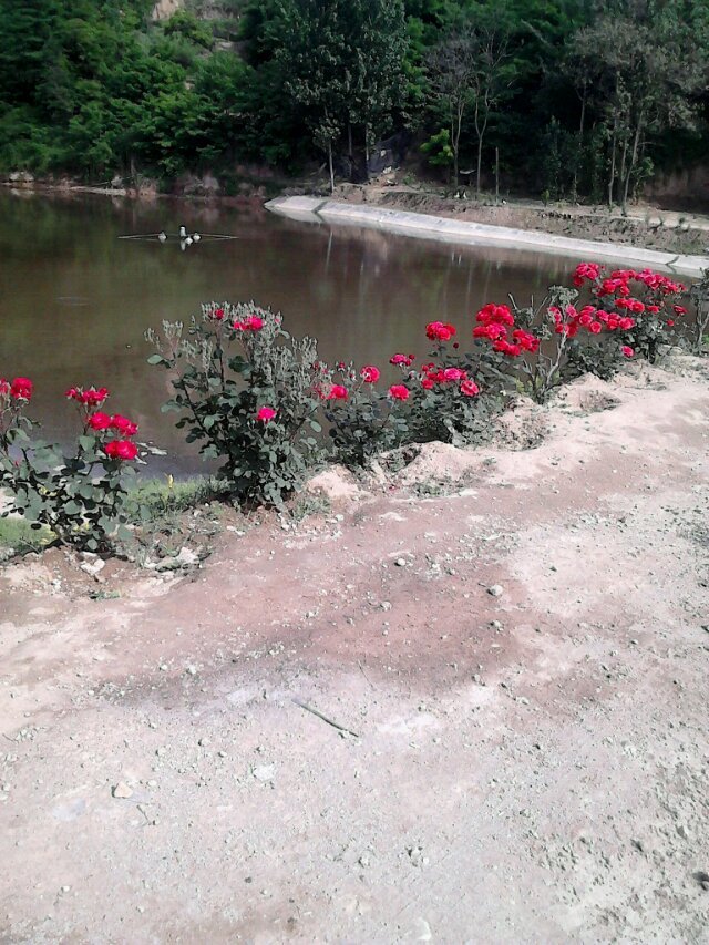 ��ػ�����Ư��