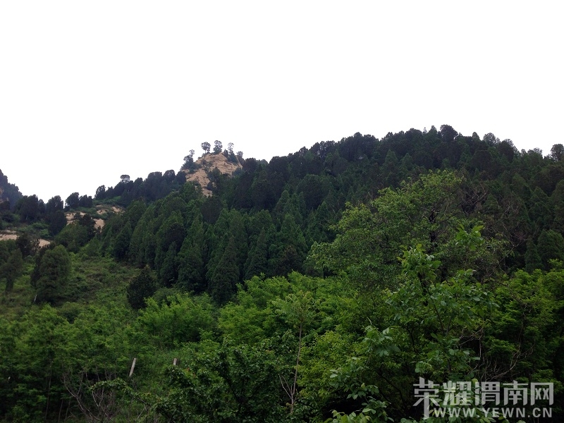 IMG_3672_��Ŀѹ��.JPG
