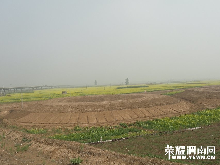 psb (9).jpg