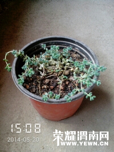 020543fid5anhdtmamn0mt.jpg