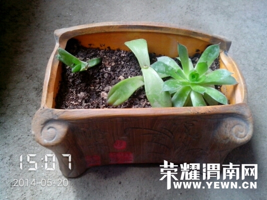 020551j1cu14azuqa1gu1w.jpg