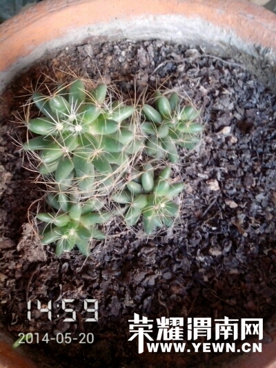 021023l0o3tbttrtk7n7ir.jpg