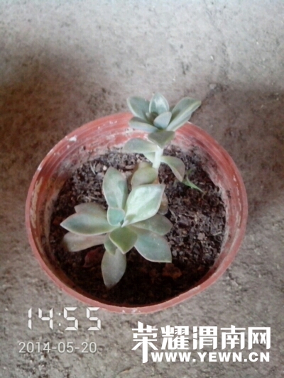 021510mji9hmbogkkjz1ko.jpg