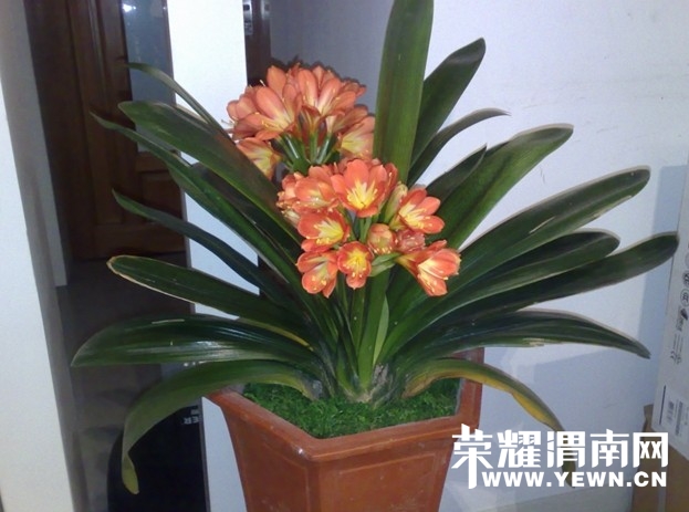 20140530_150142_000.jpg