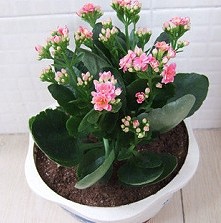 0 (2).jpg