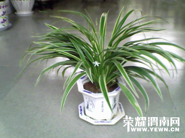 20140530_150142_002.jpg