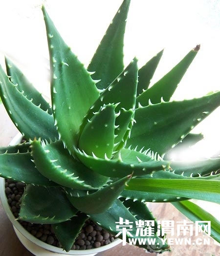 20140530_150142_003.jpg