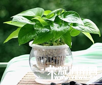 20140528110142735.jpg