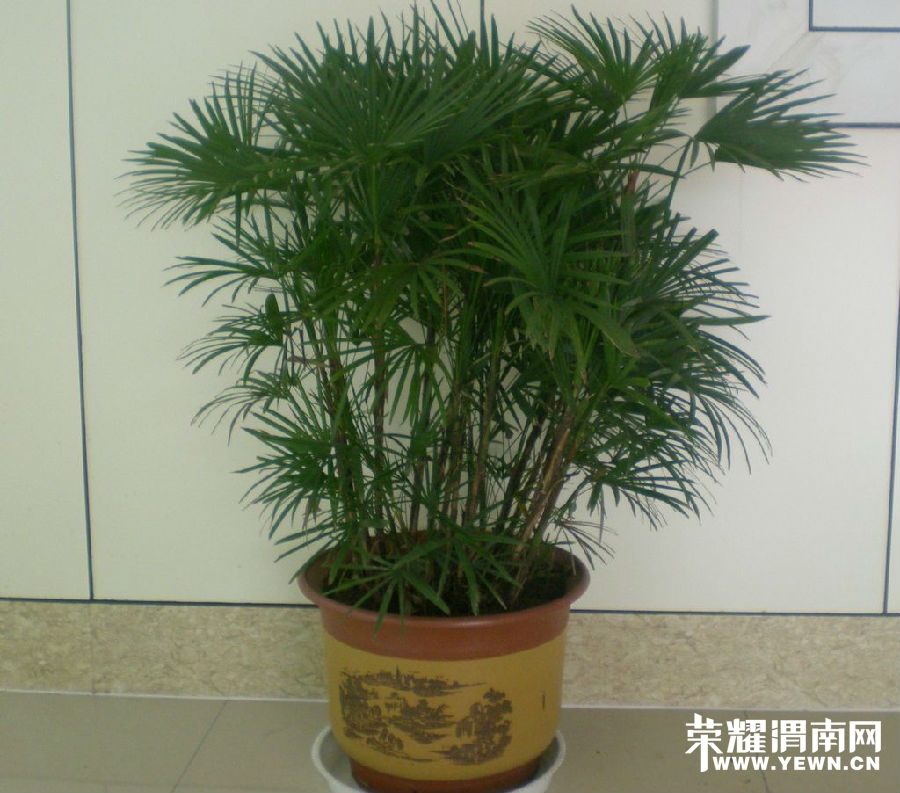 20140530_150142_007.jpg