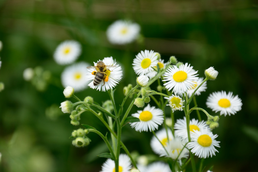 20140531 (88)_01.JPG