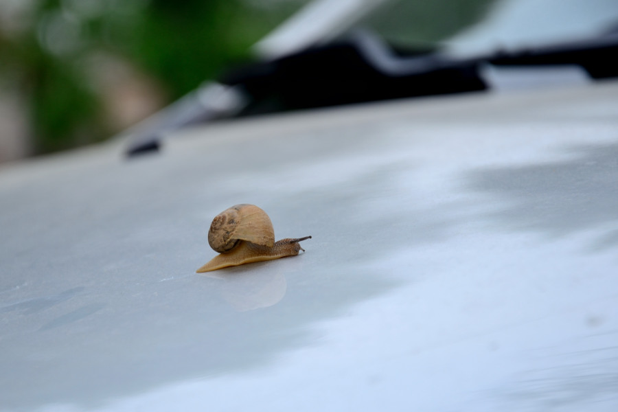 20140531 (104)_01.JPG