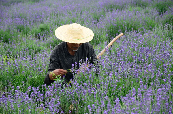 20140601 (43)_01.JPG