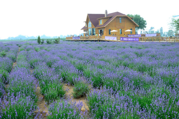 20140601 (48)_01.JPG