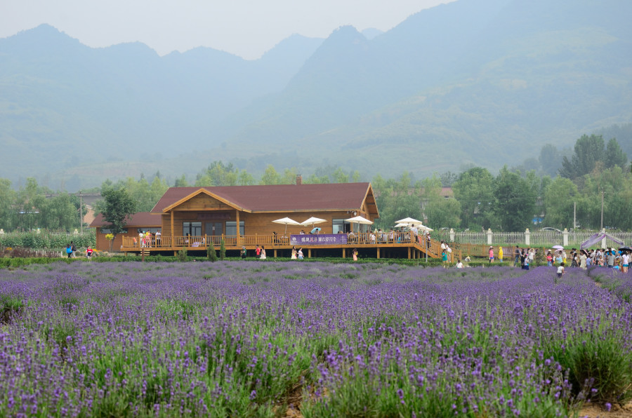 20140601 (88)_01.JPG