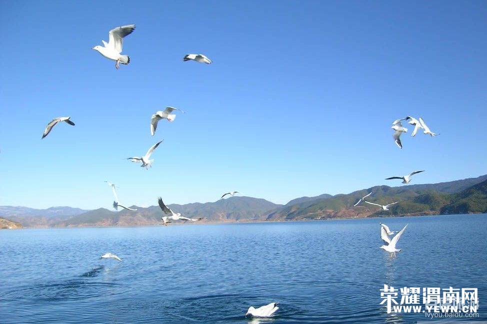 154944vftn99kb292001bb.jpg
