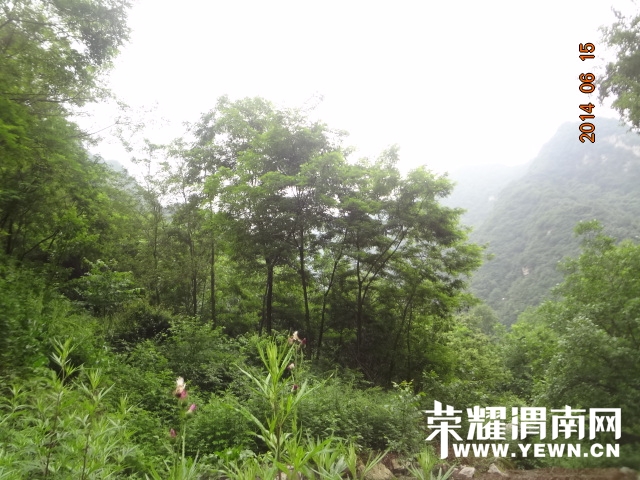 DSC03115.JPG