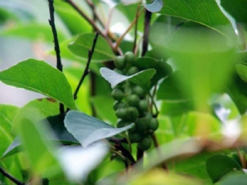 2012051416215159291.jpg