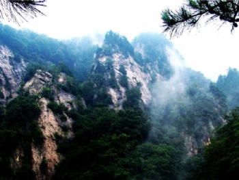 2012051416215372950.jpg