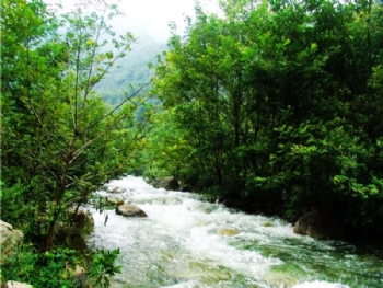 2012051416215525694.jpg