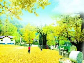 2012051416220061635.jpg