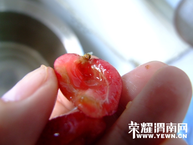 DSCF9564.JPG