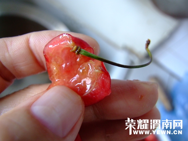 DSCF9565.JPG