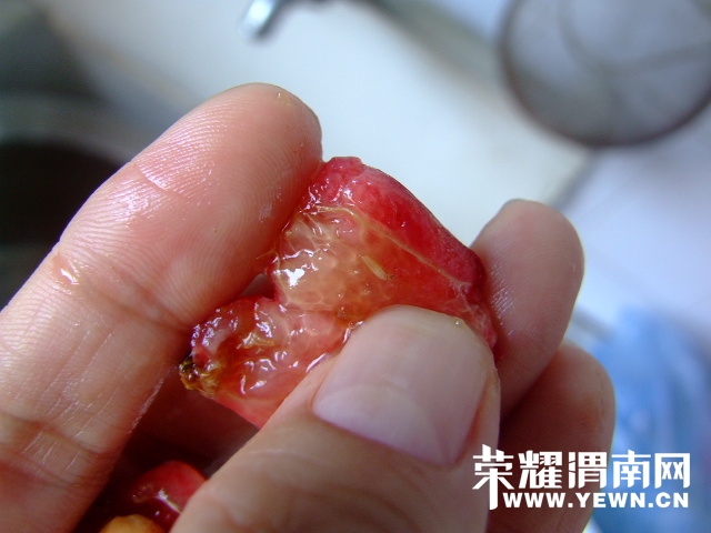 DSCF9567.JPG
