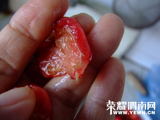 DSCF9570.JPG