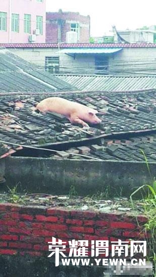 111.jpg