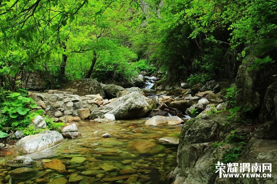 104934p994r465jj5546vq.jpg