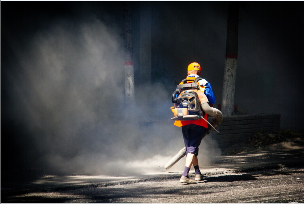 ��ɨ·��........