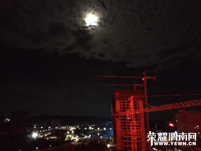001740am0vikiyvyz87180.jpg