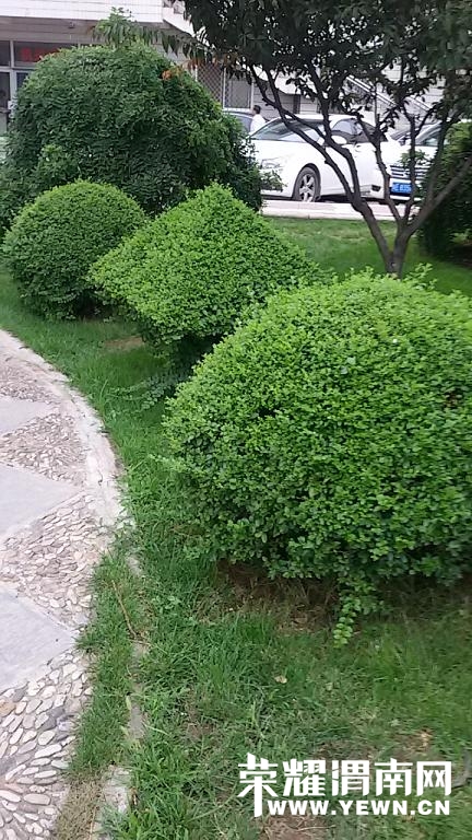 20140710_180427 (1).jpg