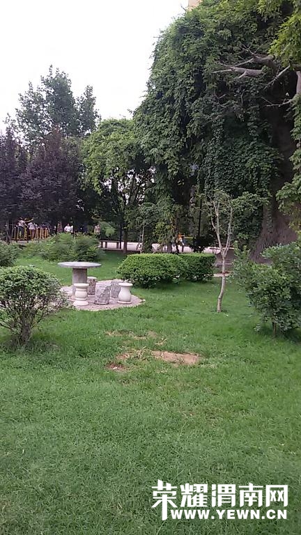 20140710_180435 (1).jpg