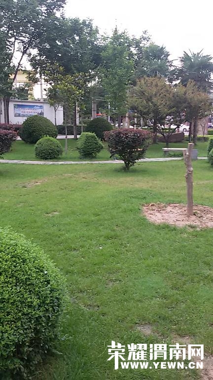 20140710_180613 (1).jpg