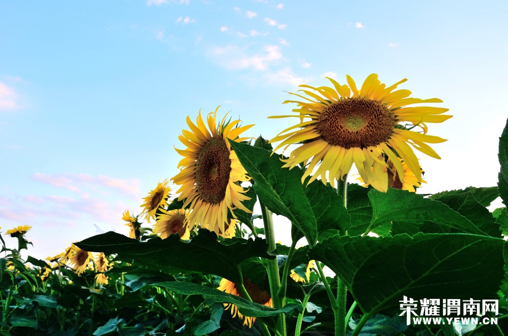 20140713 (10)_01.JPG