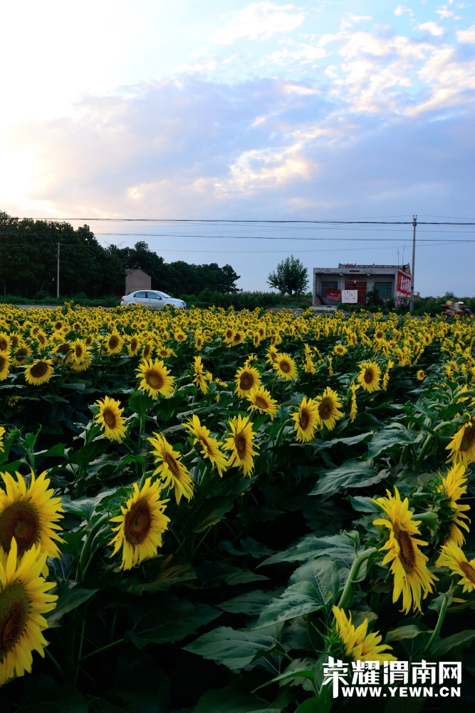 20140713 (16)_01.JPG